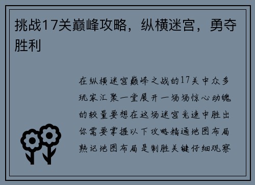 挑战17关巅峰攻略，纵横迷宫，勇夺胜利